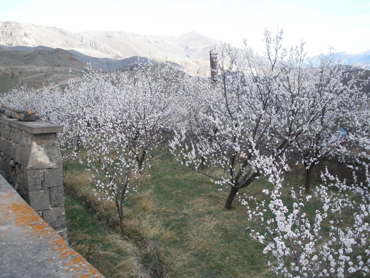 Ave Zara Bed & Breakfast Vagudy Dış mekan fotoğraf