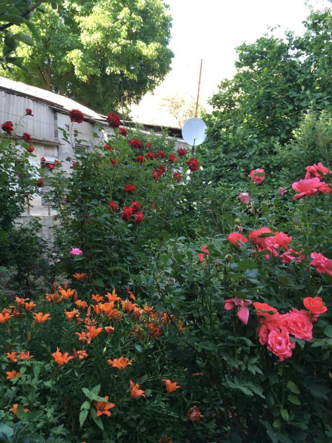 Ave Zara Bed & Breakfast Vagudy Dış mekan fotoğraf